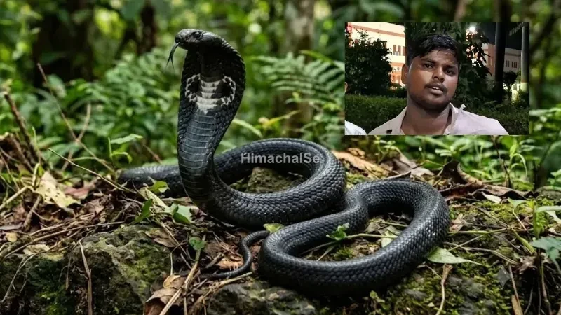 Featured Image