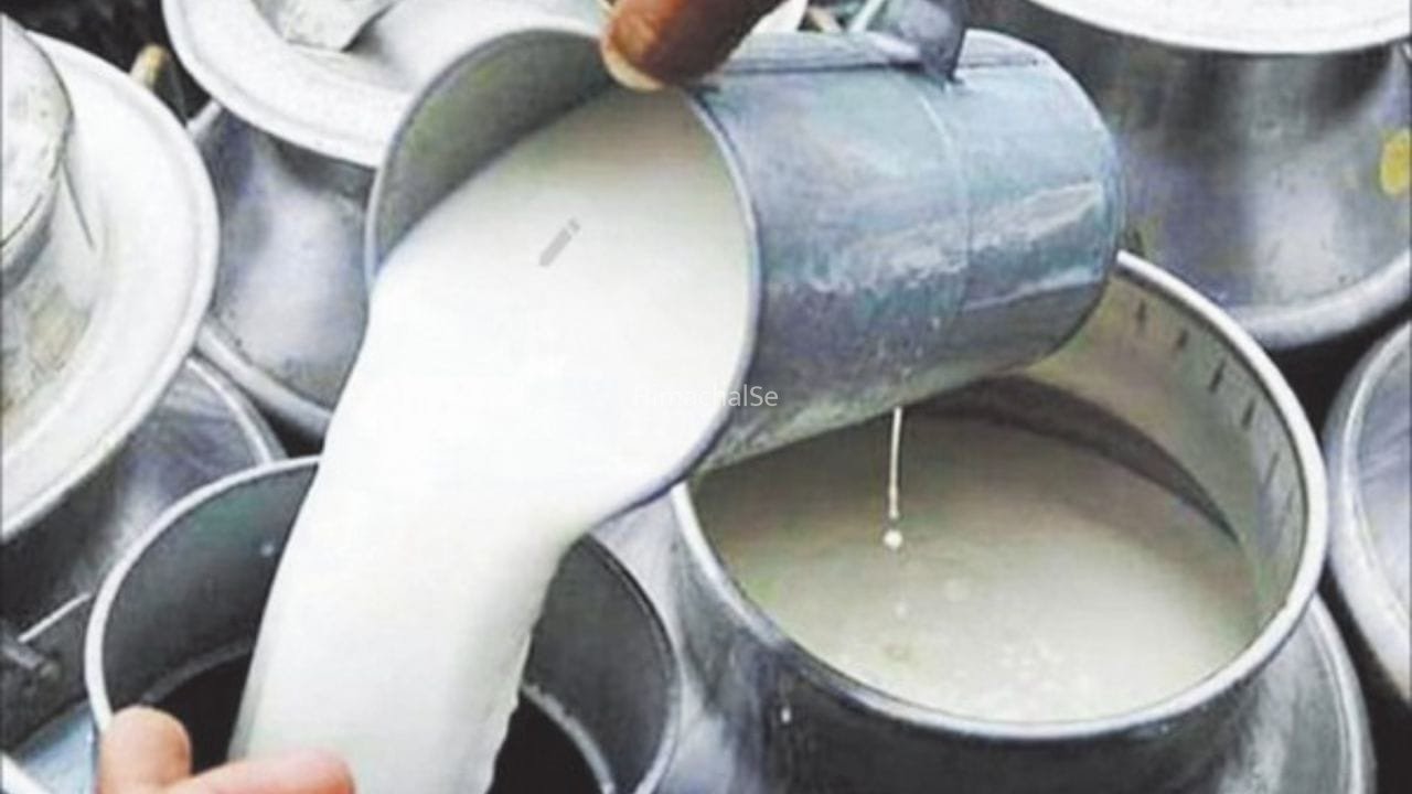 दूध में मिलावट है या नहीं, 4 ML में चलेगा पता! रुहेलखंड यूनिवर्सिटी ने बनाया अनोखा पोर्टेबल टेस्टर