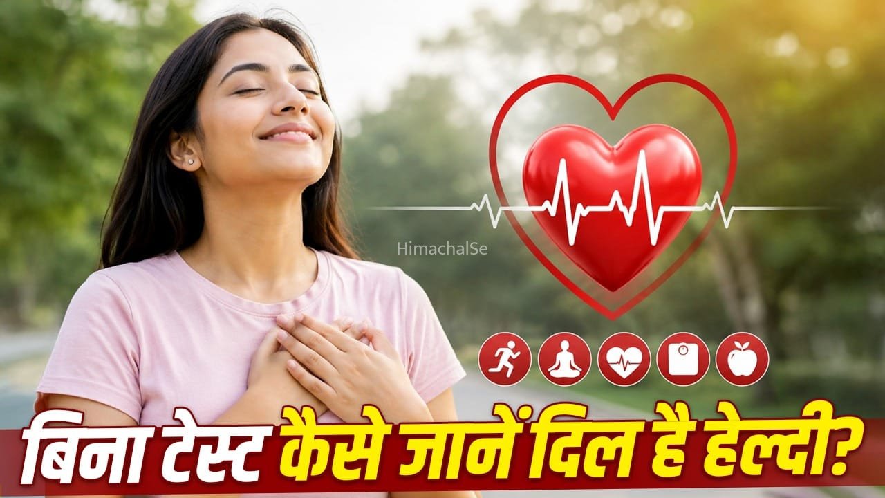 Heart Health: आपका दिल है कितना हेल्दी, इन 7 आसान संकेतों से जानें, एक्सपर्ट ने बताया​