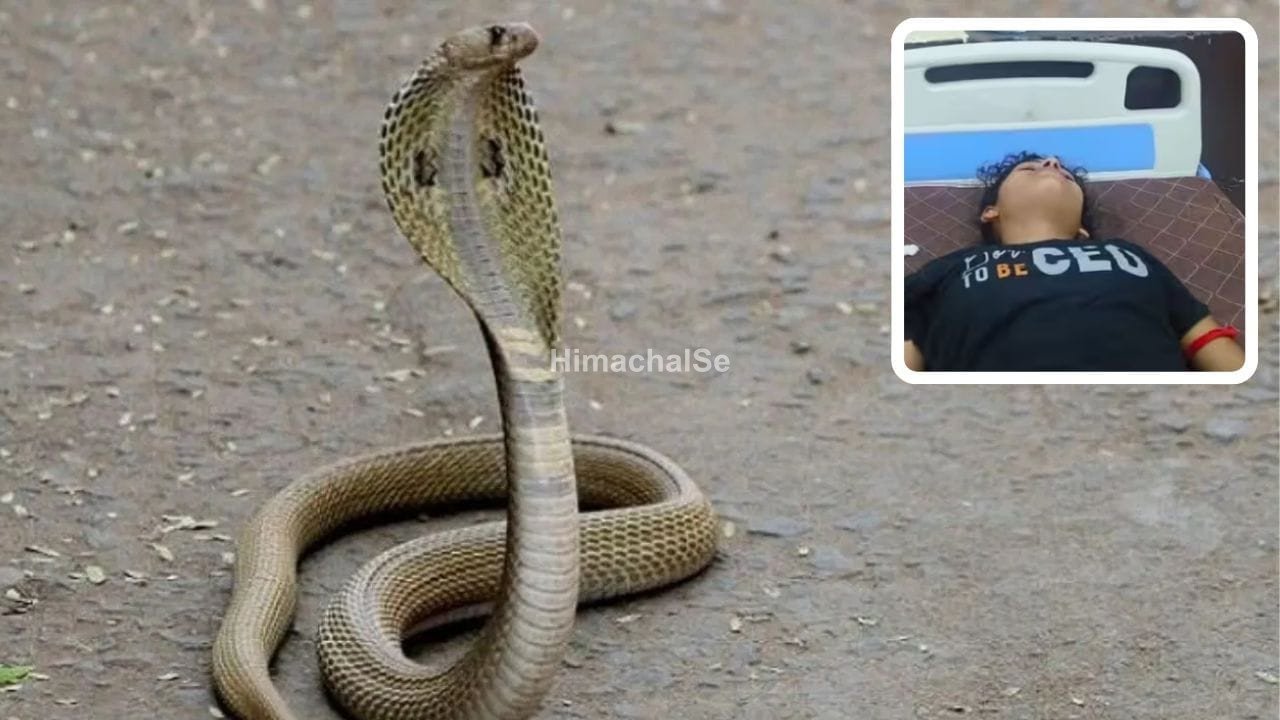 Featured Image