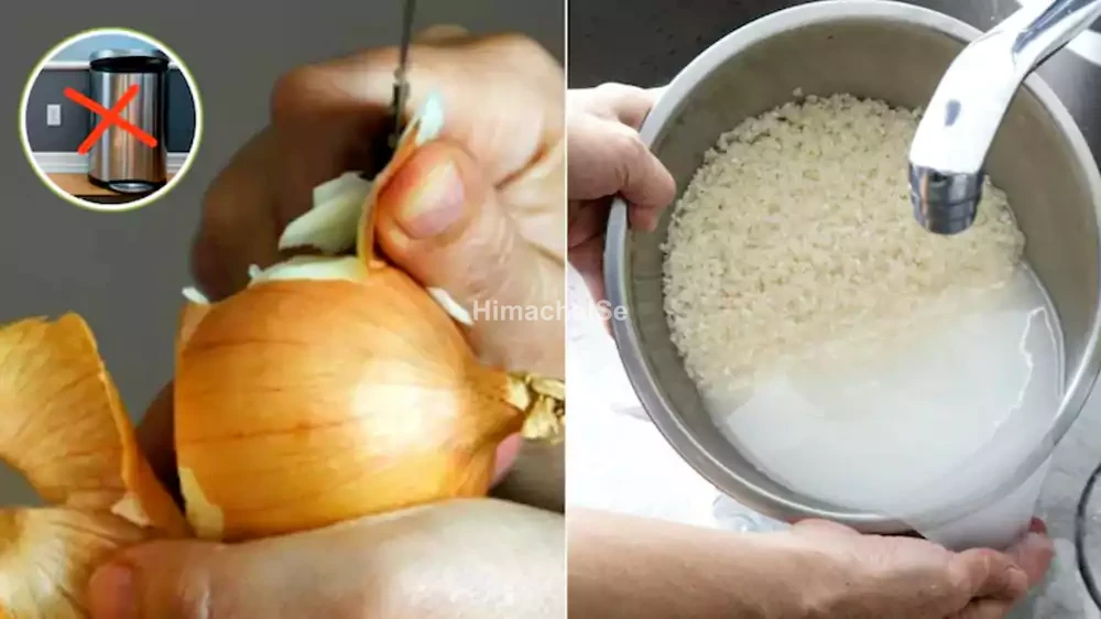 pyaj ka chhilka