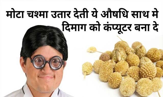 मोटे से मोटा चश्मा उतार देती है ये औषधि, साथ में दिमाग को कंप्यूटर बना देती है​​​