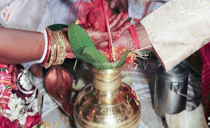 शादी के 1​​ घंटे बाद तलाक लेने कोर्ट पहुंचा कपल, कोर्ट ने सुनाई ऐसी अनोखी सजा उड़ गए तोते