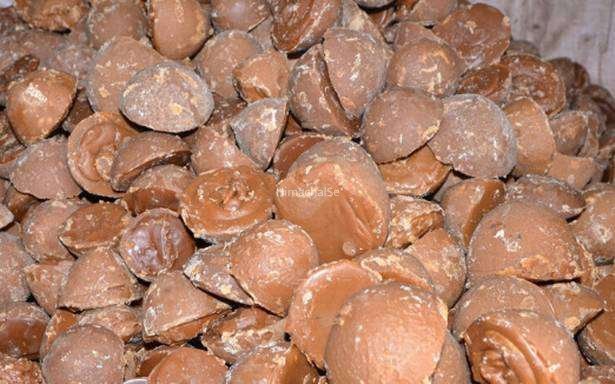 एक बार इसे खा लें बस, राजा-महाराजा करते थे इन जड़ी बूटियों का इस्‍तेमाल​​​