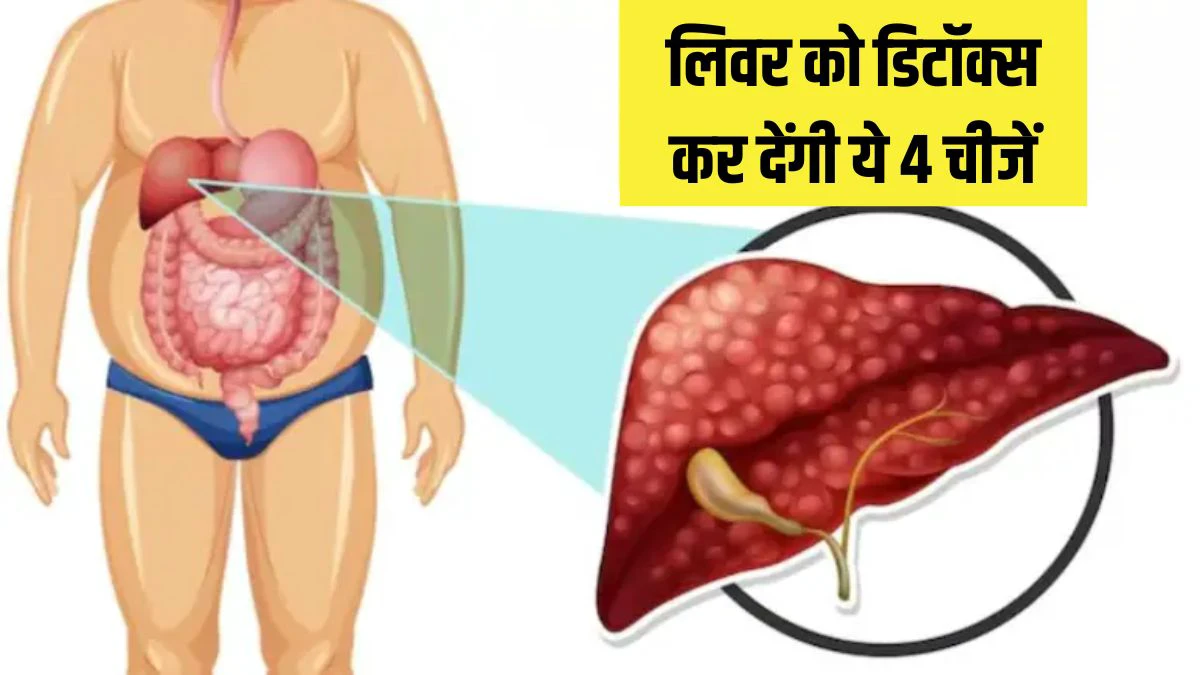 20-25 दिनों में लिवर को डिटॉक्स कर देंगी ये 4 चीजें, आयुर्वेदिक डॉक्टर ने Fatty Liver के लिए बताया रामबाण