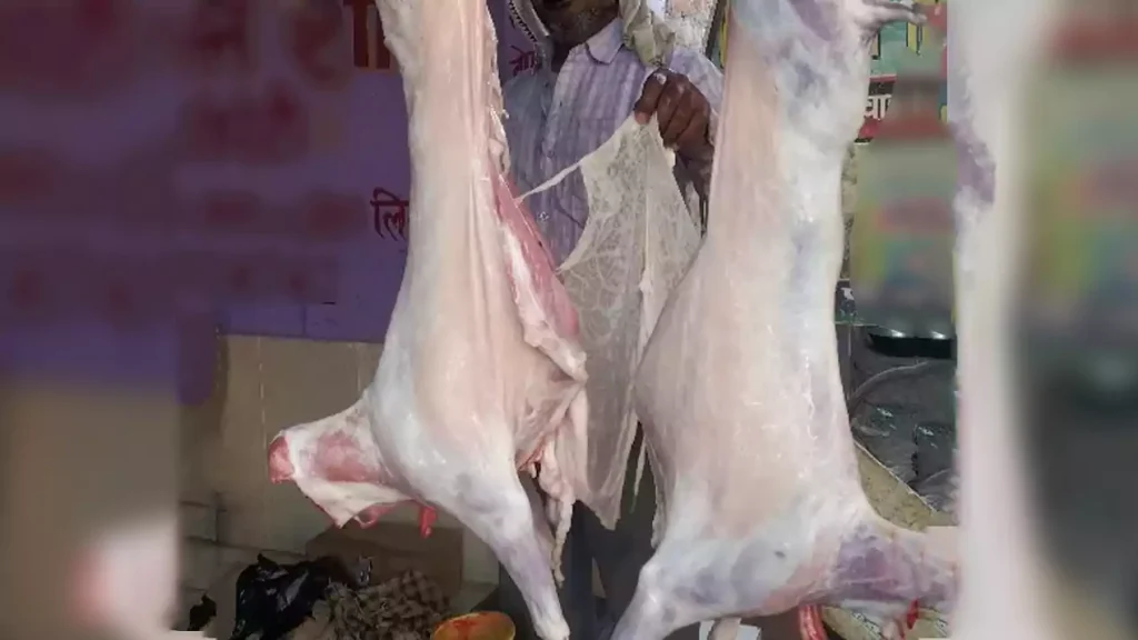 meat