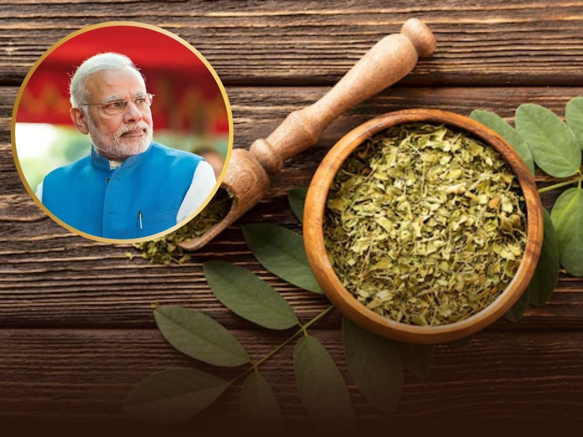 moringa