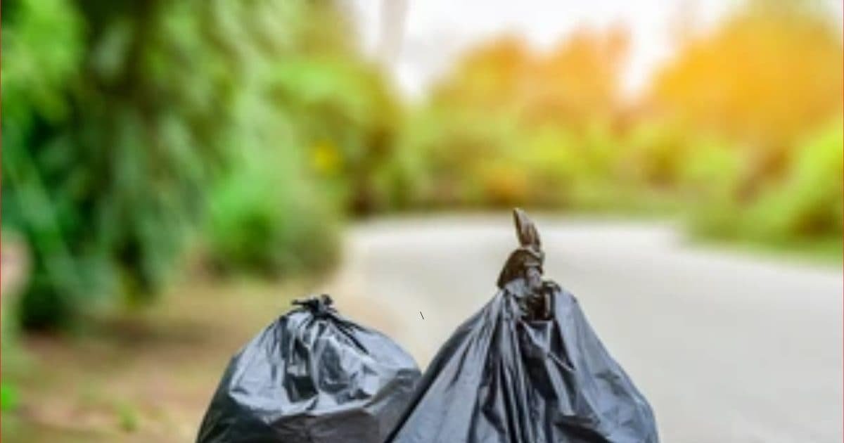 plastic-bag-2025-08-c83afda33ab86c7a1d1baf5336f99f68-16×9