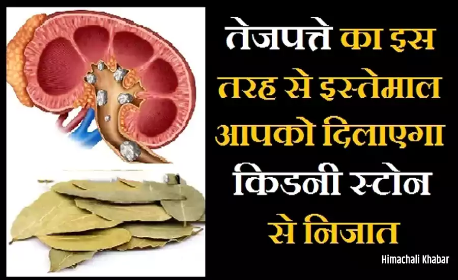 tezzpata