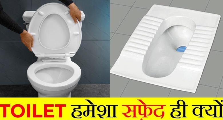 toilet-seat-20-4-23-2-780×421